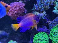 IMG_4623.jpeg IMG_4623.jpeg