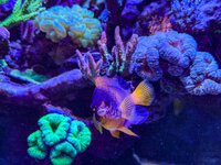 IMG_4627.jpeg IMG_4627.jpeg