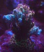 20260825_222702.jpg