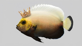 IMG_2773.png