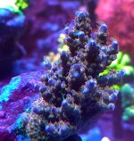 20260830_032814.jpg
