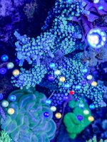 IMG_4668.jpeg