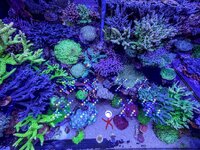 IMG_4667.jpeg