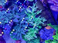 IMG_4666.jpeg