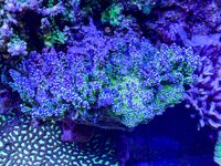 IMG_4665.jpeg