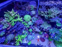 IMG_4663.jpeg