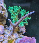 PXL_20260226_105104755~3.jpg