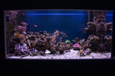 500 liter in wall 01-09-2026-1.jpg