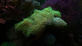 20260906_105501.jpg