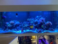 IMG_8667.jpeg