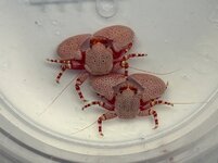 IMG_0480.jpeg