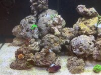 IMG_4461.jpeg