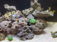 IMG_4462.jpeg