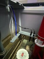 IMG_0491.jpeg