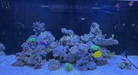 IMG_4469.jpeg