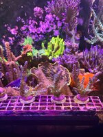 IMG_0280.jpeg
