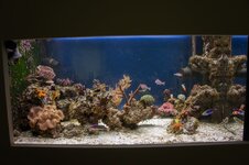 500 liter in wall 13-09-2026-14.jpg