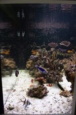 500 liter in wall 13-09-2026-16.jpg