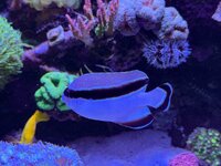 IMG_4799.jpeg