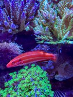 IMG_4792.jpeg