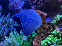IMG_4783.jpeg