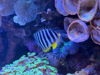 IMG_4784.jpeg