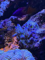 IMG_4786.JPG