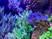 IMG_4788.JPG