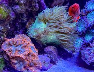IMG_4791.JPG