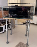 IMG_8285.jpeg