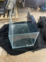 IMG_6075.jpeg