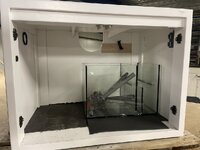 IMG_6080.jpeg