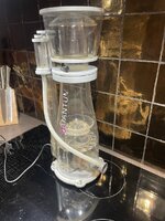 IMG_6506.jpeg