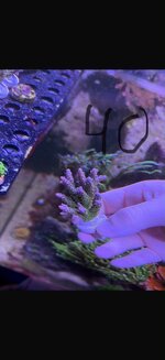 77350447-daa2-47c5-ad3c-2513e5283586.jpeg