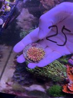 IMG_7270.jpeg