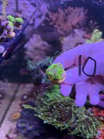 IMG_7268.jpeg