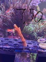 IMG_7231.jpeg