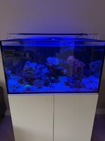 IMG_4135.jpeg
