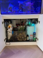 IMG_4136.jpeg