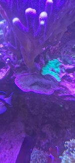 20260928_194416.jpg