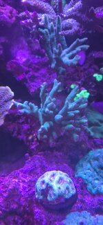 20260928_194430.jpg
