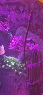 20260928_200221.jpg