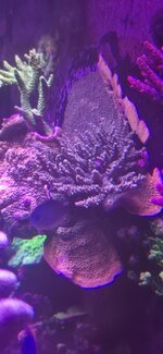 20260928_200211.jpg