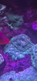 20260928_200141.jpg