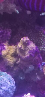 20260928_200136.jpg