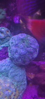20260928_200133.jpg