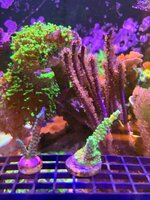 IMG_1996.jpeg