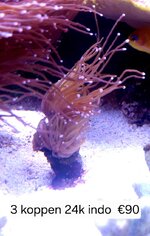 20260930_114920.jpg