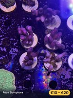 IMG_4285.jpeg IMG_4285.jpeg