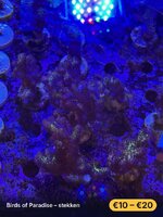 IMG_4280.jpeg IMG_4280.jpeg